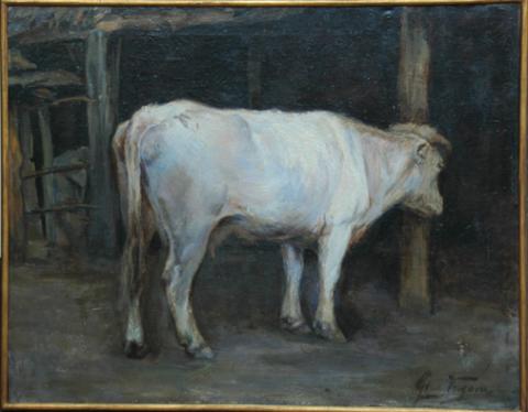 Primera imagen del registro La vaca blanca