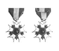 Primera imagen del registro Medalla Chilena
