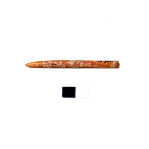 Primera imagen del registro Barba (componente)
