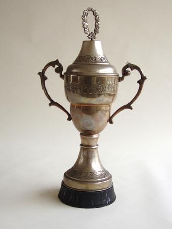Primera imagen del registro Copa amatoria