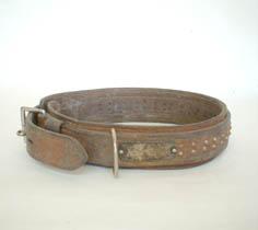 Primera imagen del registro Collar para perro