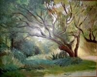 Primera imagen del registro Gran árbol