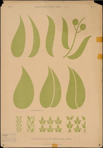 Primera imagen del registro Conventional leaf forms