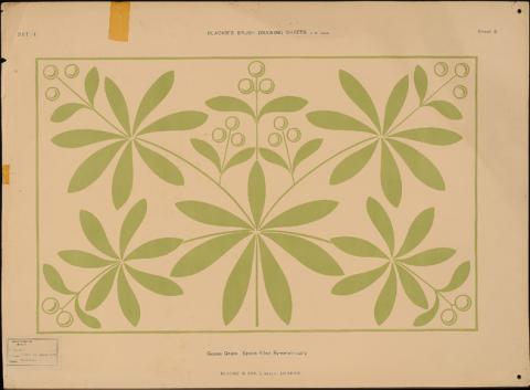 Primera imagen del registro Goose Grass, Symmetrically