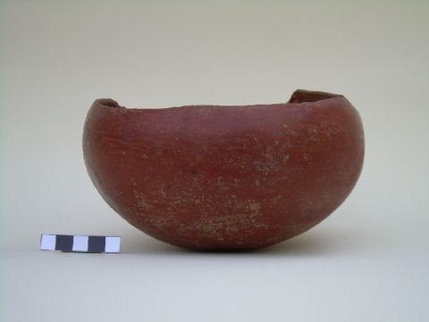 Primera imagen del registro Puco