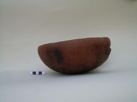 Primera imagen del registro Puco