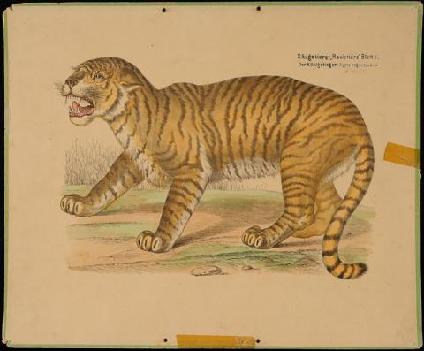 Primera imagen del registro Der Kônigs Tiger