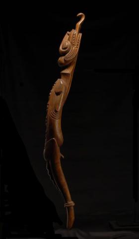 Primera imagen del registro Moko (RapaNui)