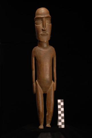 Primera imagen del registro Moai Tangata Manu