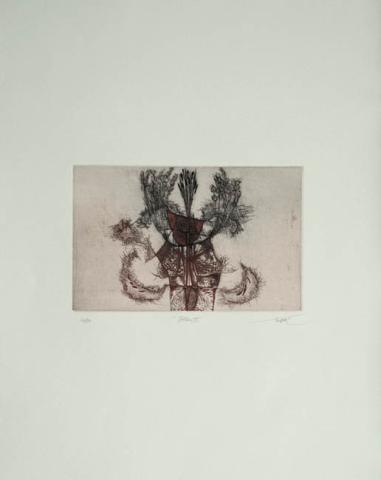 Primera imagen del registro Totem IV