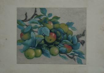 Primera imagen del registro Frutas