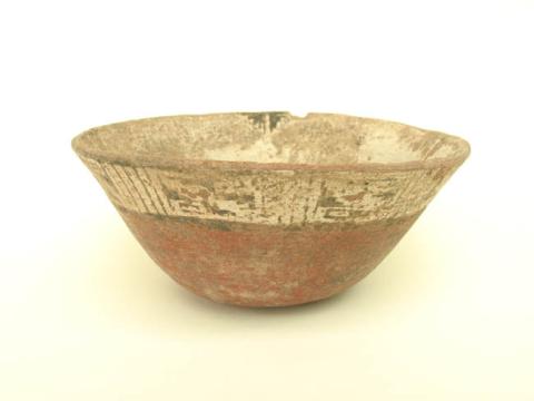 Primera imagen del registro Platillo (plato)