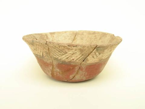 Primera imagen del registro Platillo (plato)
