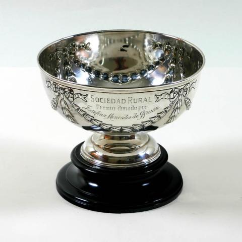 Primera imagen del registro Copa amatoria