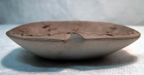 Primera imagen del registro Platillo (plato)