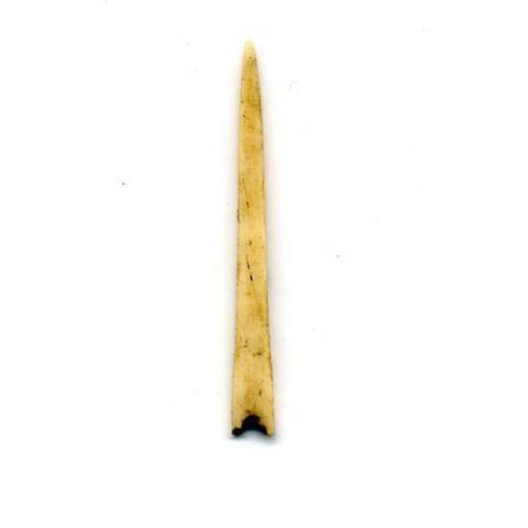 Primera imagen del registro Aguja (arqueológico y etnográfico)