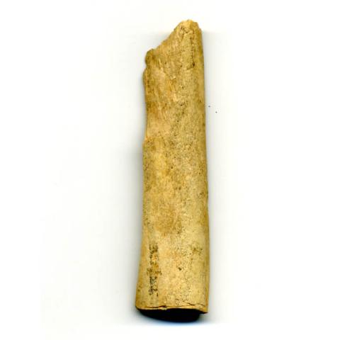 Primera imagen del registro Artefacto