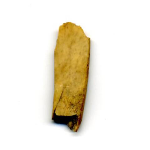 Primera imagen del registro Artefacto