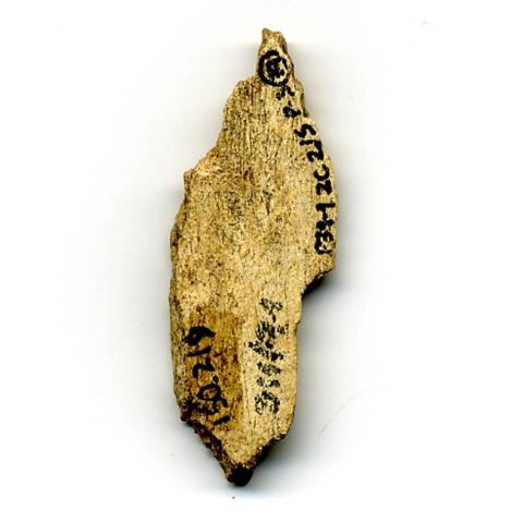 Primera imagen del registro Artefacto