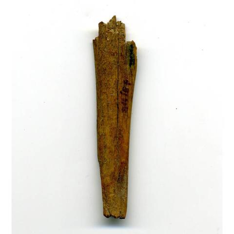 Primera imagen del registro Artefacto