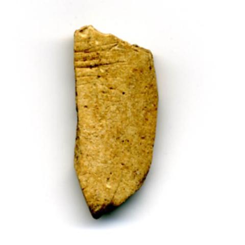 Primera imagen del registro Pulidor (arqueológico)