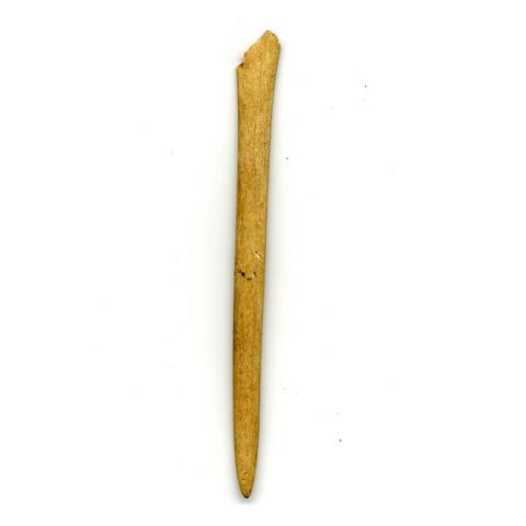 Primera imagen del registro Espátula