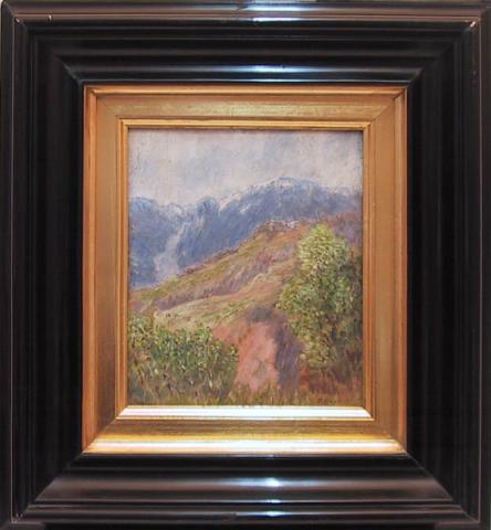 Primera imagen del registro Paisaje cordillerano con árboles