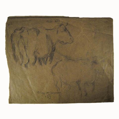 Primera imagen del registro Croquis vacunos