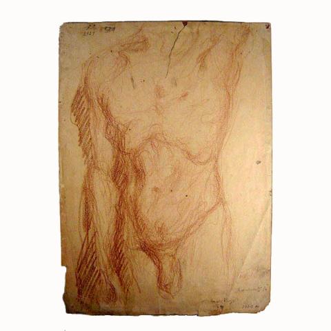 Primera imagen del registro Torso desnudo masculino