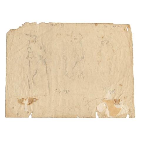 Primera imagen del registro Tipos veguinos