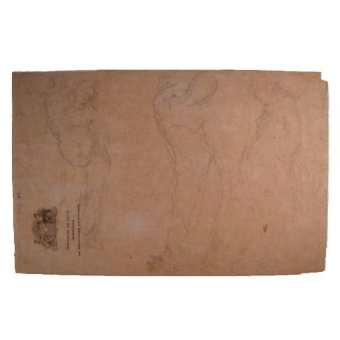 Primera imagen del registro Estudio figura (3)