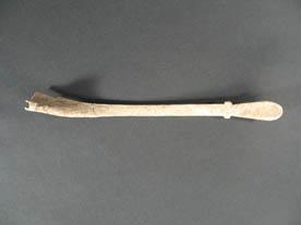 Primera imagen del registro Espátula