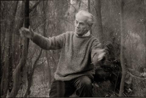 Primera imagen del registro Nicanor Parra, de la serie "Ropa Tendida"