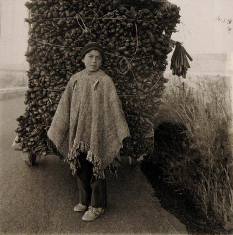 Primera imagen del registro Camino a Nueva Imperial, de la serie "Ropa Tendida"