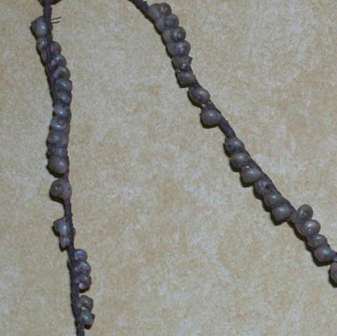 Primera imagen del registro Collar (accesorio de vestir)