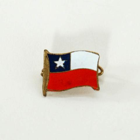 Primera imagen del registro Pin