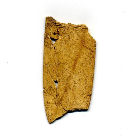 Primera imagen del registro Espátula