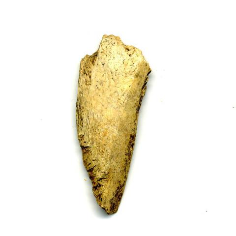 Primera imagen del registro Artefacto