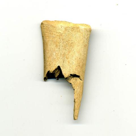 Primera imagen del registro Artefacto