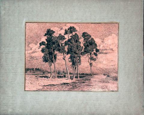 Primera imagen del registro Paisaje