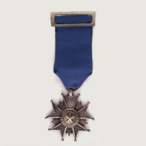 Primera imagen del registro Medalla de Honor Campaña de Lima 1881