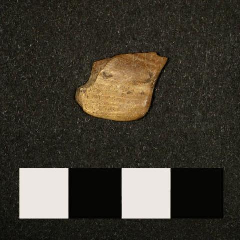 Primera imagen del registro Pulidor (arqueológico)