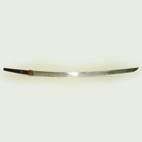Primera imagen del registro Katana
