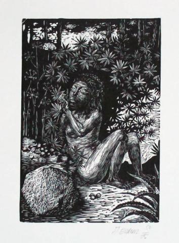 Primera imagen del registro Mujer en el bosque