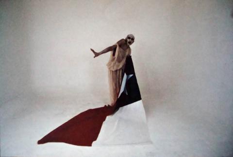 Primera imagen del registro Registro fotográfico de performance "El Mimo y la Bandera"