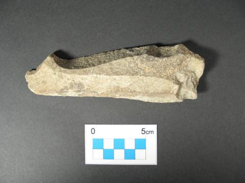 Primera imagen del registro Cuchillo