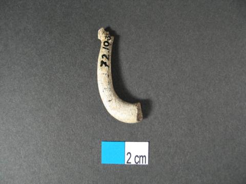Primera imagen del registro Anzuelo