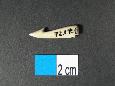 Primera imagen del registro Anzuelo