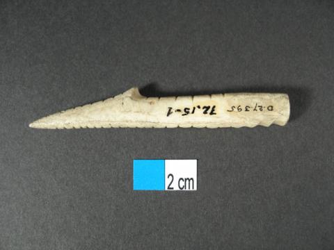 Primera imagen del registro Anzuelo