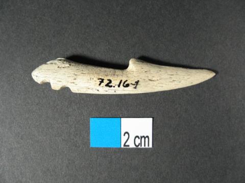 Primera imagen del registro Anzuelo